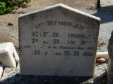 image of grave number 255631
